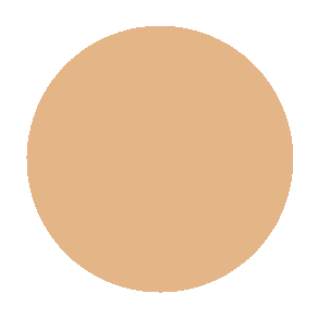 BB Cream