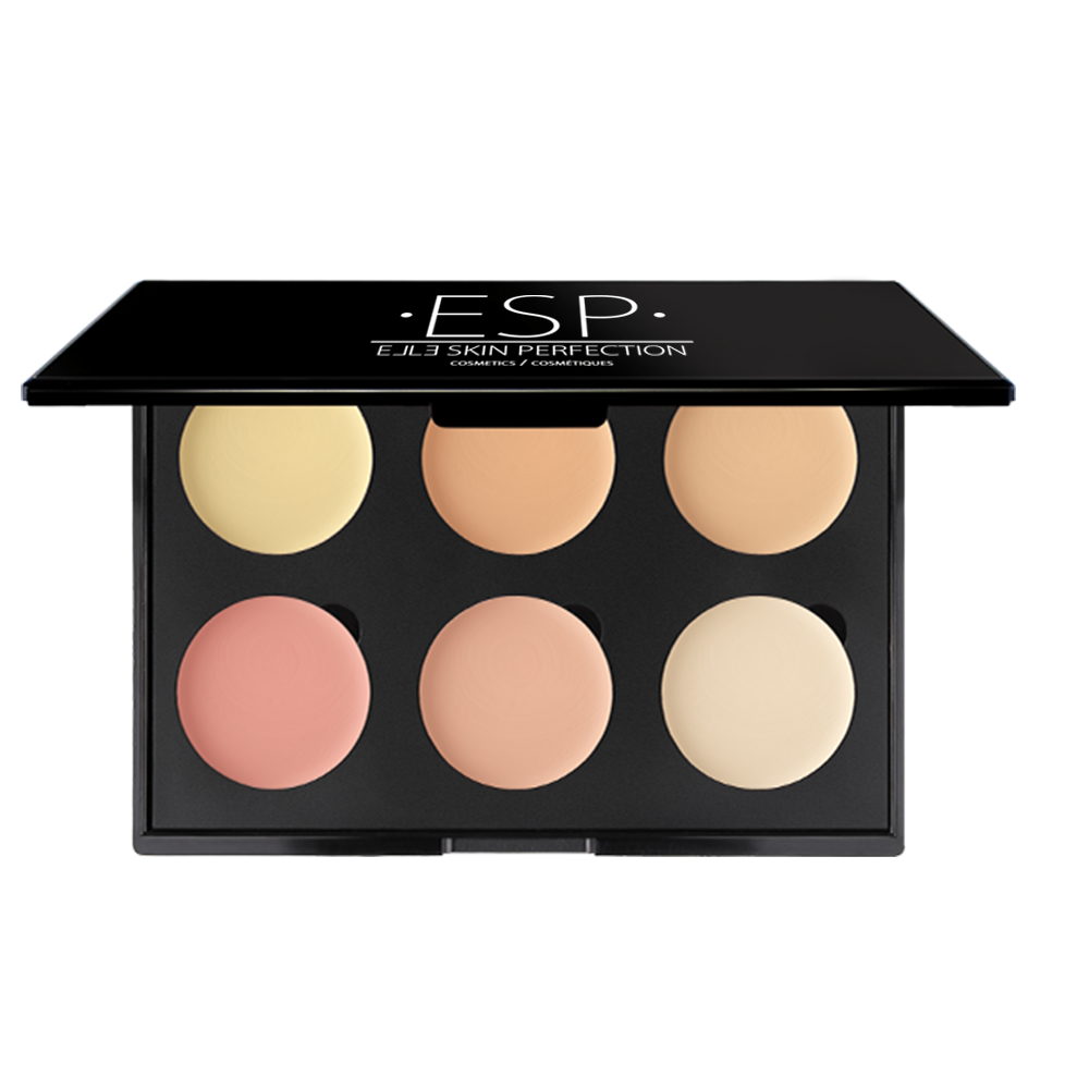 6 Well Colour Corrector Pallets