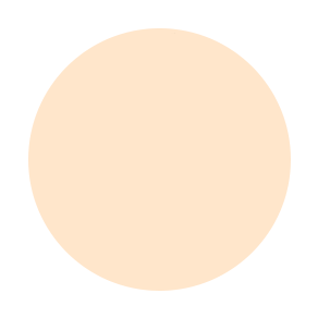 Dual Powder Foundation