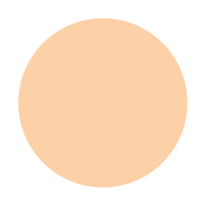 Dual Powder Foundation