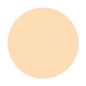 Dual Powder Foundation