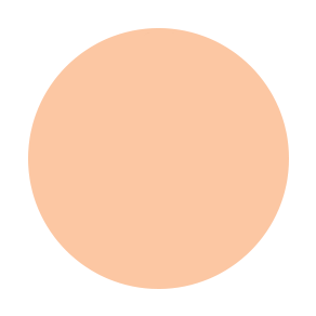 Dual Powder Foundation