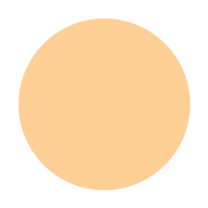 Dual Powder Foundation