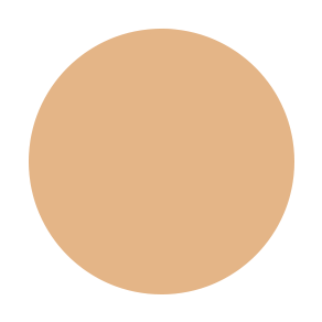 Dual Powder Foundation