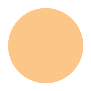 Dual Powder Foundation