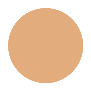 Mousse Foundation - Perfect Balance