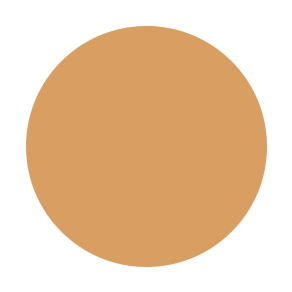 Dual Powder Foundation