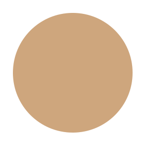 Dual Powder Foundation
