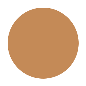 Dual Powder Foundation