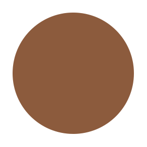 Dual Powder Foundation