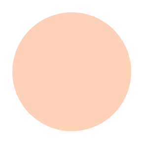 Mousse Foundation - Perfect Balance