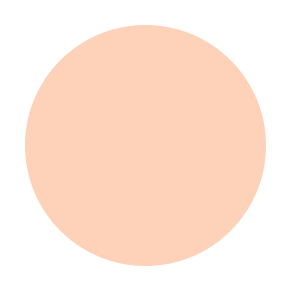 Dual Powder Foundation