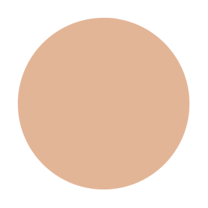 Dual Powder Foundation