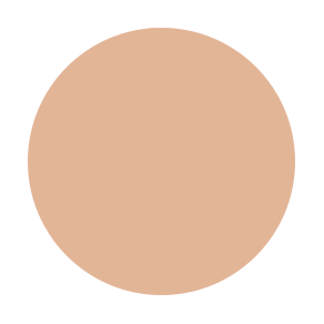 Mousse Foundation - Perfect Balance
