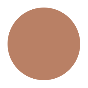 Dual Powder Foundation