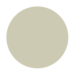 CCG GREEN LIGHT Colour corrector
