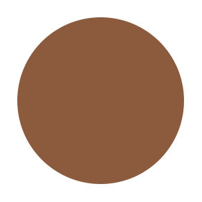 N10
