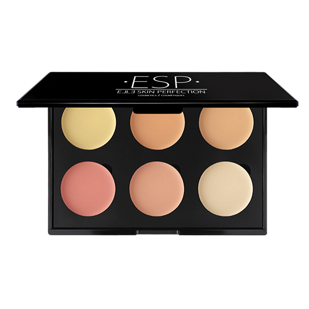 6 Well Colour Corrector Pallets