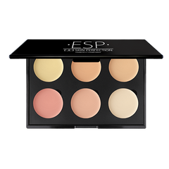 6 Well Colour Corrector Pallets