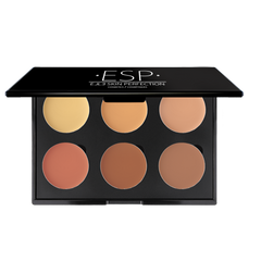 6 Well Colour Corrector Pallets