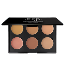 6 Well Colour Corrector Pallets