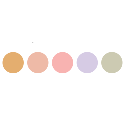 5 Well Colour Corrector