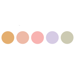 5 Well Colour Corrector